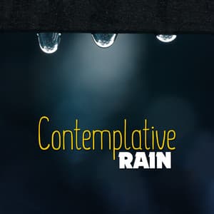 Contemplative Rain - Natural Rain Sounds