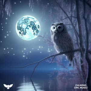 Elysian Echoes - Ambient Owl Music