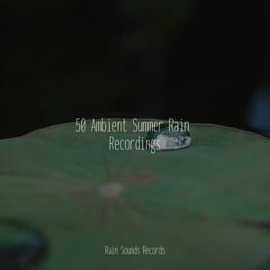 50 Ambient Summer Rain Recordings - Calming Waves
