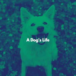 A Dog's Life - Coffee Shop Chill Out Beats