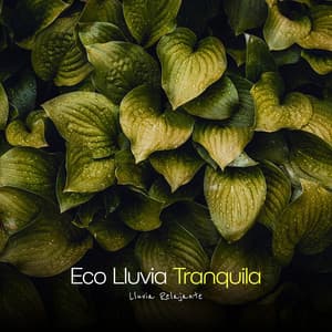Eco Lluvia Tranquila - Lluvia Relajante
