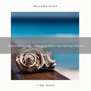 Massive Sea Sounds For Genial Meditation, Spa Hard Days Chill Out - Instant Relax