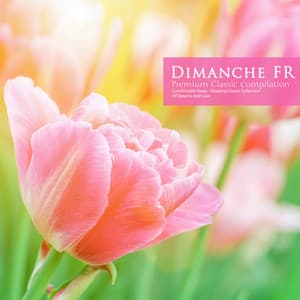 Sleeping Classical Collection of Dreams and Love - Dimanche FR