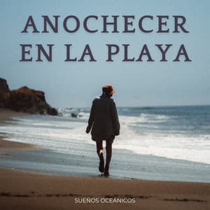 Anochecer En La Playa: Sueños Oceánicos - Naturaleza de Suecia