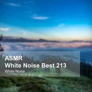 White Noise ASMR Best 213 - White Noise