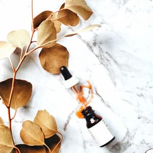 Sparkling Indian Chill Out Music - Ambiance for Motivational Meditation - Meditation Atmospheres