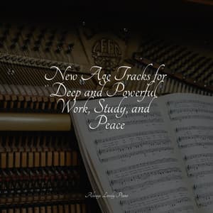 Music for Relaxation - Mozart Lullabies Baby Lullaby