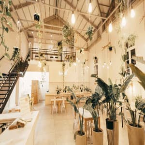 Cuban Bolero - Music for Waking Up with Coffee - Co-Working Music Playlist