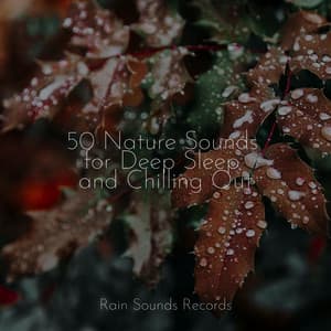 50 Nature Sounds for Deep Sleep and Chilling Out - Chillout Lounge