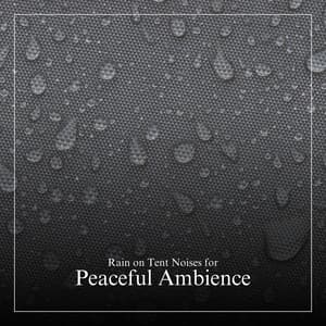 Tent Rain - Sounds of Nature White Noise Sound Effects