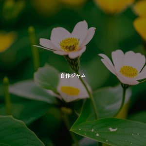 自作ジャム - Jazz Relax Office