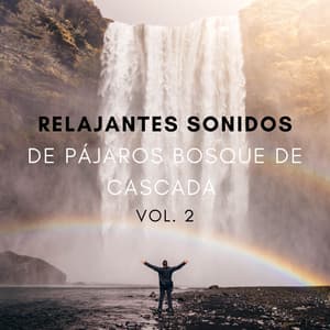 Relajantes Sonidos De Pájaros Bosque De Cascada Vol. 2 - Dao Naturaleza