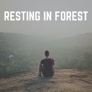 Resting in Forest - Zen Garden Secrets