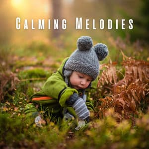 Calming Melodies: Lofi Lullabies for Babies - Lofi Playlist