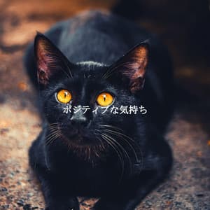 ポジティブな気持ち - Chill Jazz Playlist