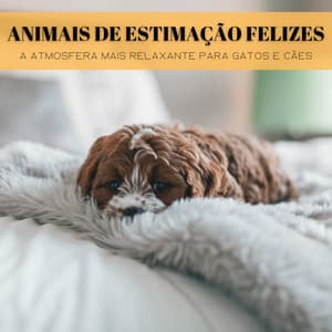 Animais De Estimação Felizes: A Atmosfera Mais Relaxante Para Gatos E Cães - Música Mágica para Bebês de Sono