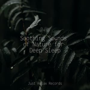 Soothing Sounds of Nature for Deep Sleep - Zen