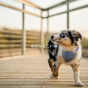 ゆめみるこいぬ - French Cafe Jazz Chill