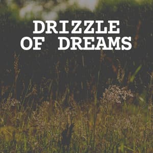Drizzle of Dreams - Rainfall Place
