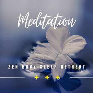 Zen Baby Sleep Retreat: Embrace the Calm - Pregnancy and Birthing Specialists