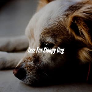 Jazz For Sleepy Dog - Separation Anxiety Dog Music