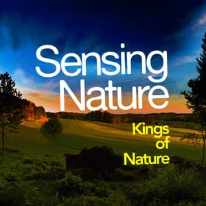 Sensing Nature - Kings of Nature