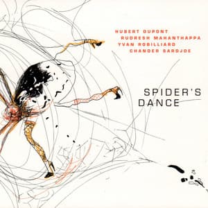 Spider's dance - Hubert Dupont