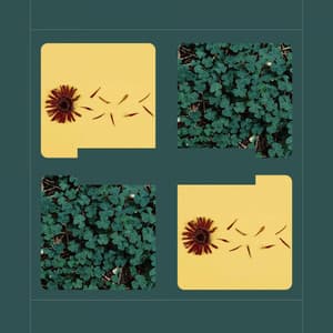 Relaxing Days - Lettura di Musica