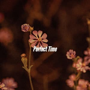 Perfect Time - Jazz Relajante
