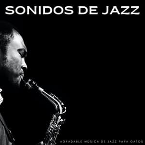 Sonidos De Jazz: Agradable Música De Jazz Para Gatos - Salón de jazz relajado