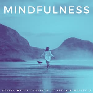 Mindfulness: Serene Water Currents To Relax & Meditate - Chakra Balancing Meditation