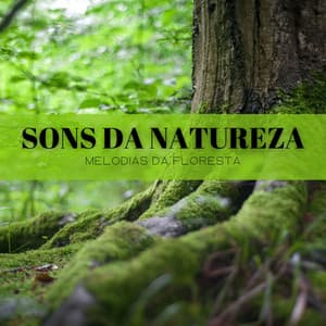 Sons Da Natureza: Melodias Da Floresta - Música Para Cães Adormecidos