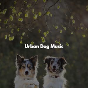 Urban Dog Music - Música de Trabajo De Lujo