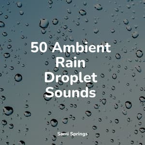 50 Ambient Rain Droplet Sounds - Sleep Music System