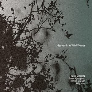 Heaven in a Wildflower - Niels Vincentz