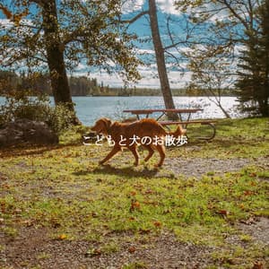 こどもと犬のお散歩 - Evening Chillout Playlist