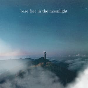 Bare Feet in the Moonlight - Lonely Ambition