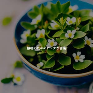 植物のためのピュアな音楽 - Charming Guitar Jazz Relax