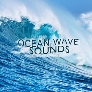 Ocean Wave Sounds - Ocean Sounds Collection
