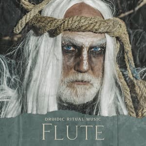 Druidic Ritual Music: Flute, Celtic Harp and Drums - Calm Music Zone