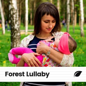 Forest Lullaby - The Nature Soundscapes