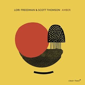 Amber - Lori Freedman