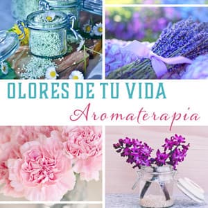 Olores de Tu Vida – Aromaterapia, Música Curativa, Meditación para una Vida Mejor, Relajarse & Vivir en Armonía, Tu Guía en Aromas - Academia de Música para SPA