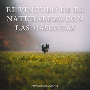 El Vínculo De La Naturaleza Con Las Mascotas: Armonía Relajante - Sonidos de la tierra
