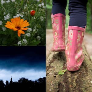 Happy Music for Cozy Rainy Nights - Jazz Guitar Solo - Jazz Lounge Music Club Chicago