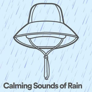 Calming Sounds of Rain - Meditation Rain Sounds