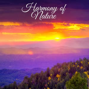 Harmony of Nature - Sleep Makers Samples
