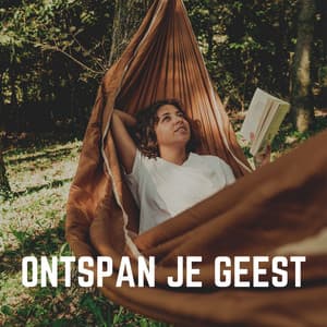Ontspan Je Geest - Ontspannende Muziek