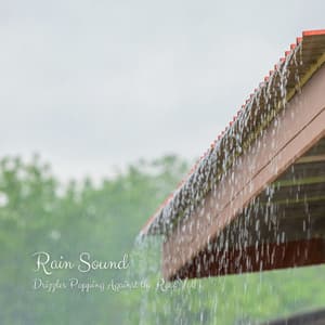 Rain Sound: Drizzles Popping Against the Roof Vol. 1 - The SubOceaners