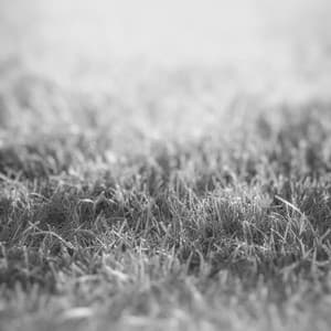 Music for Devoted Inspiration - Dîner Jazz